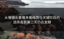 从慢镜头重播来看梅西在关键阶段的选择直到第二天仍在发酵