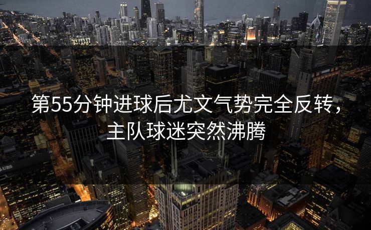 第55分钟进球后尤文气势完全反转，主队球迷突然沸腾  第1张