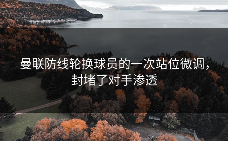 曼联防线轮换球员的一次站位微调，封堵了对手渗透  第1张